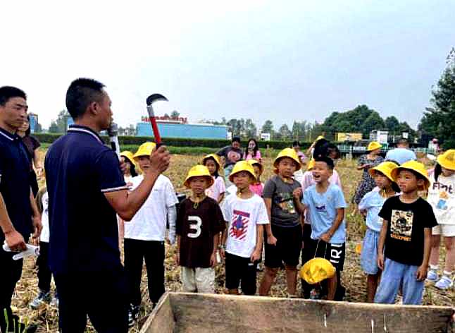 （研学动态）青杠社区：“抓娃娃·去撒欢”秋季研学活动